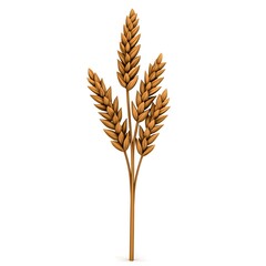 Golden Wheat Stalks Isolated on White Background for Agriculture Use