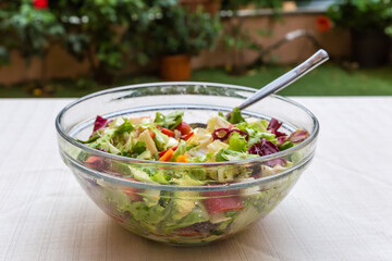 Salad of mozzarella, fresh vegetables and different leaf lettuce