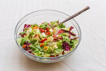 Salad of mozzarella, fresh vegetables and different leaf lettuce