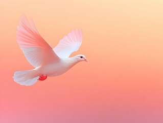 Fototapeta premium Pink Dawn Dove Illustration