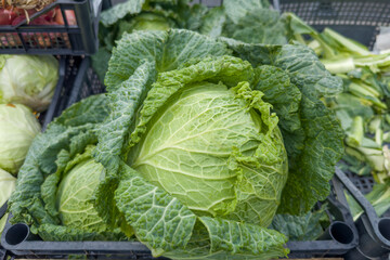 Head of Savoy cabbage in vegetables container in vegetable market