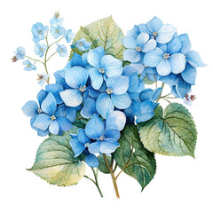 Fototapeta premium Blue Forget-Me-Not Flower Clipart Vector Illustration