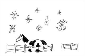 Fototapeta premium Drawn pony, children's scribbles. Black and white doodle illustrations of snowflakes and a horse against a fence. Picture for children's magazines.
