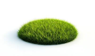 Lush green grass tuft, isolated, studio, white background, nature design (2)
