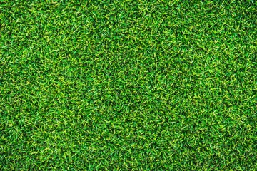 Fototapeta premium Beautiful green grass texture.