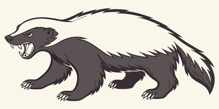 illustration honey badger vector graphic
