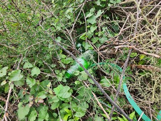 Green Glass Bottle Litter Among Twigs and Vegetation, Ideal for Environmental Pollution Concepts, Recycling Awareness, Nature Conservation Campaigns, Sustainability Projects, or Waste Management Theme