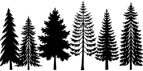 Obraz premium Coniferous Tree Silhouette Forest Illustration