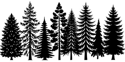 Coniferous Tree Silhouette Forest Illustration