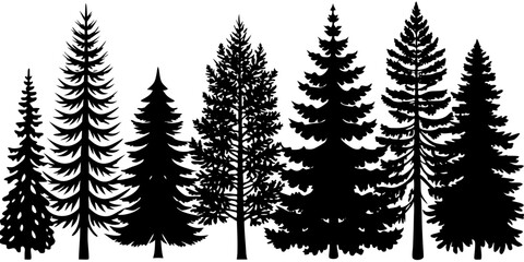 Fototapeta premium Coniferous Tree Silhouette Forest Illustration