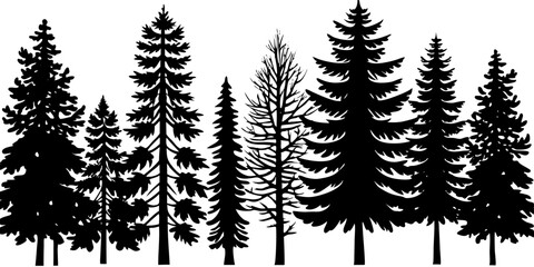 Coniferous Tree Silhouette Forest Illustration