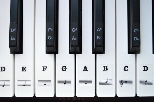 Piano keys with note labels, letters for beginner musician, close piano top view from above