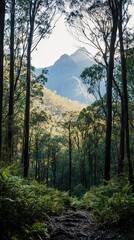 Obraz premium Forest path winding through lush trees with a mountain backdrop, illuminated by soft sunrise light, symbolizing serenity and adventure. Perfect for scenic and outdoor phone backgrounds.