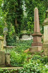 Quiet Green Cemetery Scene with Monuments Surrounded by Vegetation