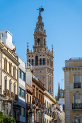 Fototapeta premium Sevilla Kathedrale & La Giralda an der Plaza del Triunfo, Sevilla, Spanien / Catedral de Sevilla