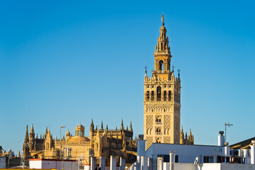 Fototapeta premium Sevilla Kathedrale & La Giralda an der Plaza del Triunfo, Sevilla, Spanien / Catedral de Sevilla