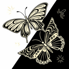 black and white butterfly