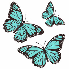 set of butterflies isolated