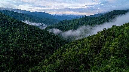 Fototapeta premium A breathtaking view of dense green mountains enveloped in mist at twilight, showcasing rolling hills and deep valleys under a cloudy sky