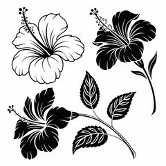 black and white flower