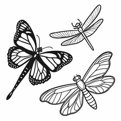 set of butterflies