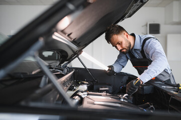 Troubleshooting process. Auto mechanic working in garage. Repair service