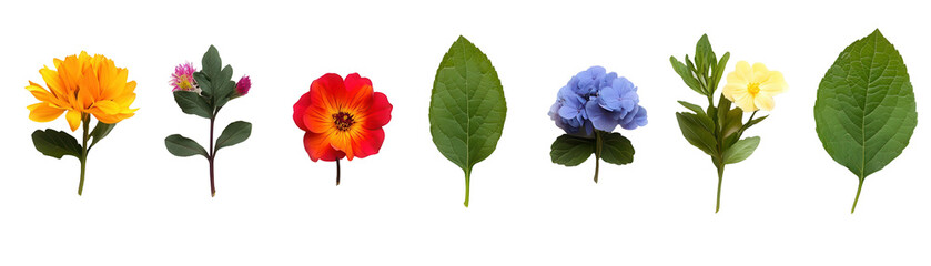 A vibrant collection of colorful flowers and green leaves arranged artistically. transparent background