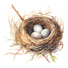 Obraz premium Bird Nest clipart. Watercolor illustration. Detailed Artistic Graphic illustration