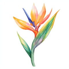 Bird of Paradise clipart. Watercolor illustration. AI-Generated Artistic Illustration. Detailed illustration
