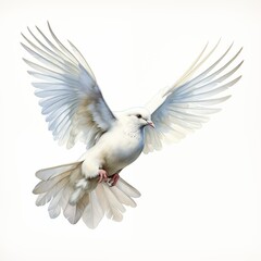 Obraz premium White Dove clipart. Creative Generative Watercolor illustration. Detailed illustration