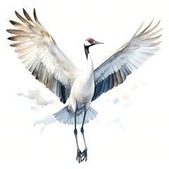 Obraz premium Whooping Crane clipart. Watercolor illustration. Detailed Artistic Graphic illustration