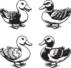 set of ducks