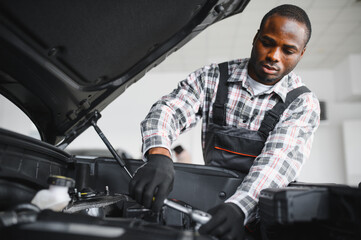 Auto mechanic performing a routine service inspection in a service garage