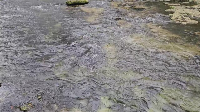 Florida spring clear water ripples 