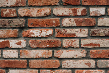 Red brick wall. Texture of old dark brown and red brick wall