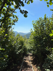 Beautiful hike in France
