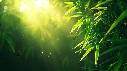 Obraz premium Sunlight Filtering Through Lush Green Bamboo Leaves in Nature