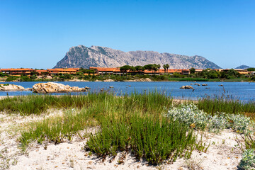 Salina Bamba beach with Molara island on the background in Sardinia, Italy