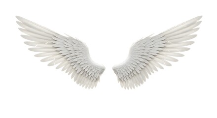 Naklejka premium Serene Angel Wings Against White Background 