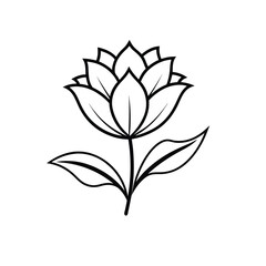 black and white lily