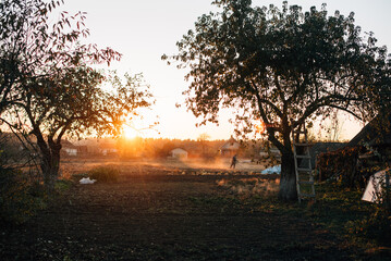 autumn sunset in the village