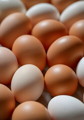 A natural and rustic close-up of eggs in beige and light brown tones, arranged randomly to create an organic pattern. The composition fills the frame with soft natural lighting that highlights.