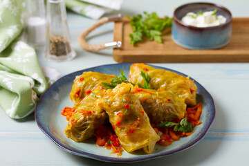 Stuffed cabbage leaves. Cabbage wraps or rolls. Chou farci, dolma, sarma, golubtsy or golabki on blue plate on green blue table