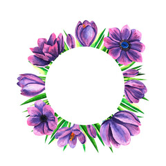 Watercolor frame, template, with purple blooming crocus, anemone flowers isolated on white background. Spring and easter template, botanical hand painted  illustration. For designers, wedding
