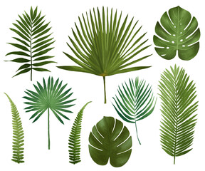 A collection of hand-drawn tropical leaf illustrations, highlighting the beauty of palm leaves and exotic greenery. Ideal for creative projects, print designs, and nature-inspired decor.