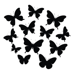 Isolated butterfly silhouette fly background
