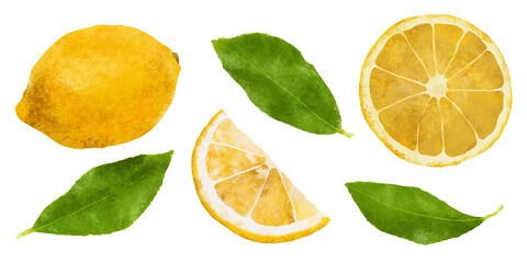 Realistic green ripe raw lemon fruit, isolated whole, half and slice citrus fruit. 