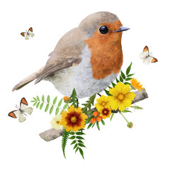 Robin on a flowering branch, watercolor drawing on a white background.