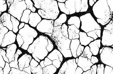 Abstract black and white cracked surface pattern design texture