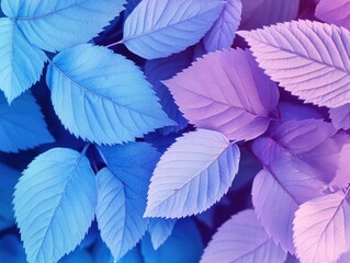 Fototapeta premium Vibrant Purple Leaf Bouquet